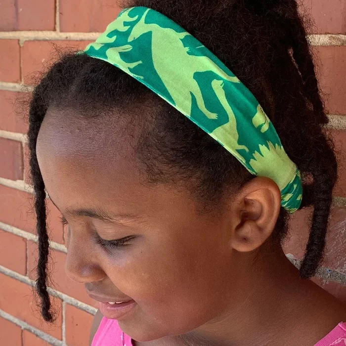 “Land Before Lime” Dinosaurs Headband – Child