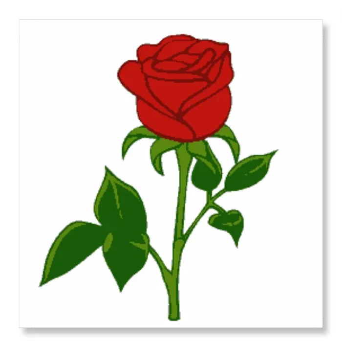 A Rose for You – Valentine Rose Day