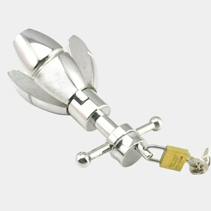 Asslock – Locking Anal Plug