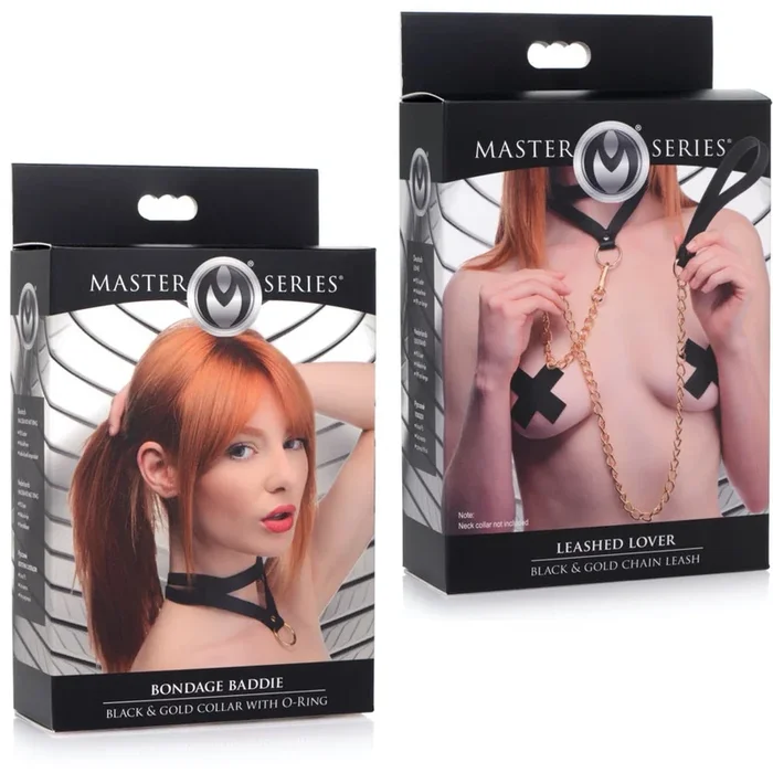 Black & Gold Collar with Leash Kit