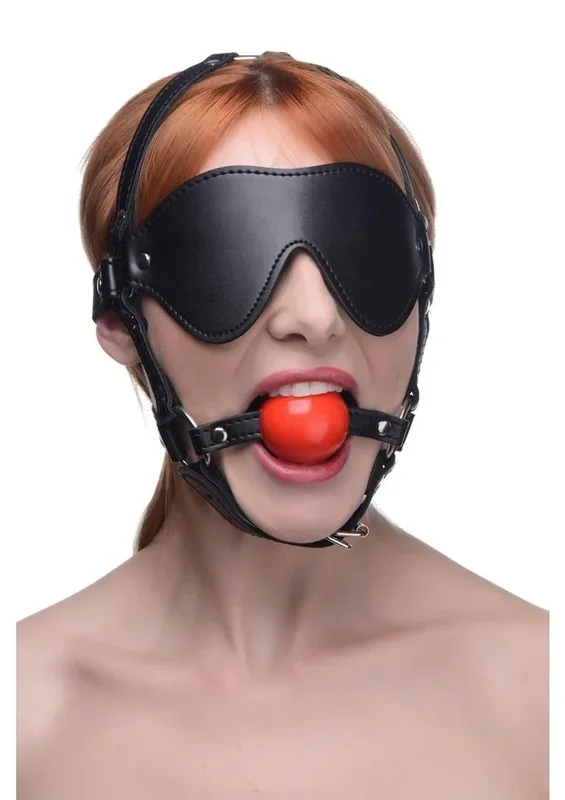 Blindfold Harness with Ball Gag