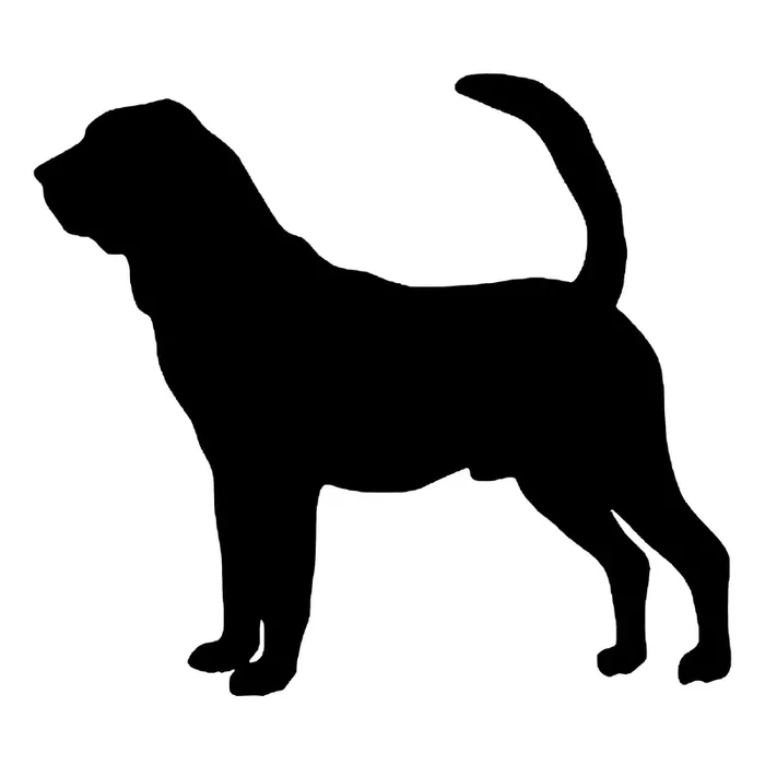 Bloodhound, Coonhound, Decal Sticker