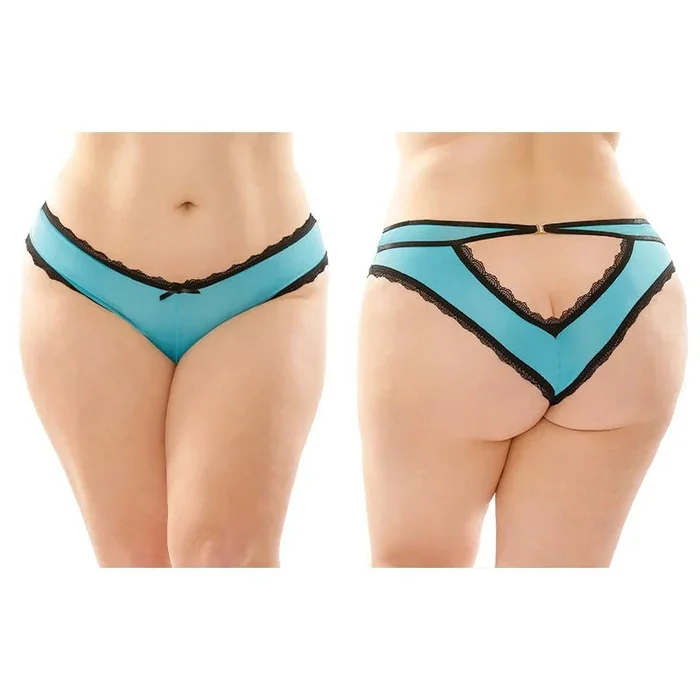 Fantasy Lingerie Dahlia Cheeky Hipster Panty With Lace Trim & Keyhole Cutout 6-Pack Turquoise Queen Size