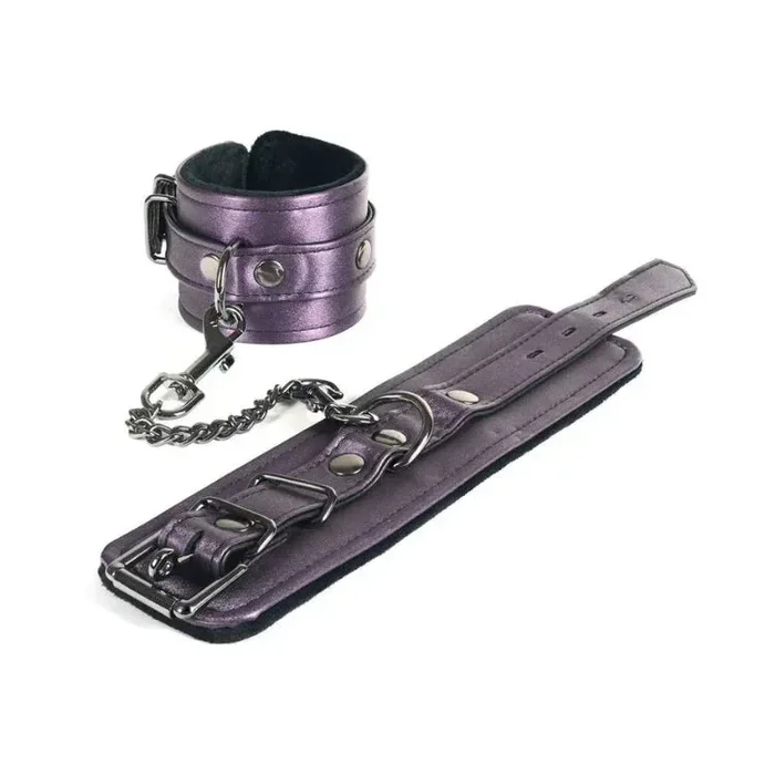 Galaxy Legend Ankle Restraints