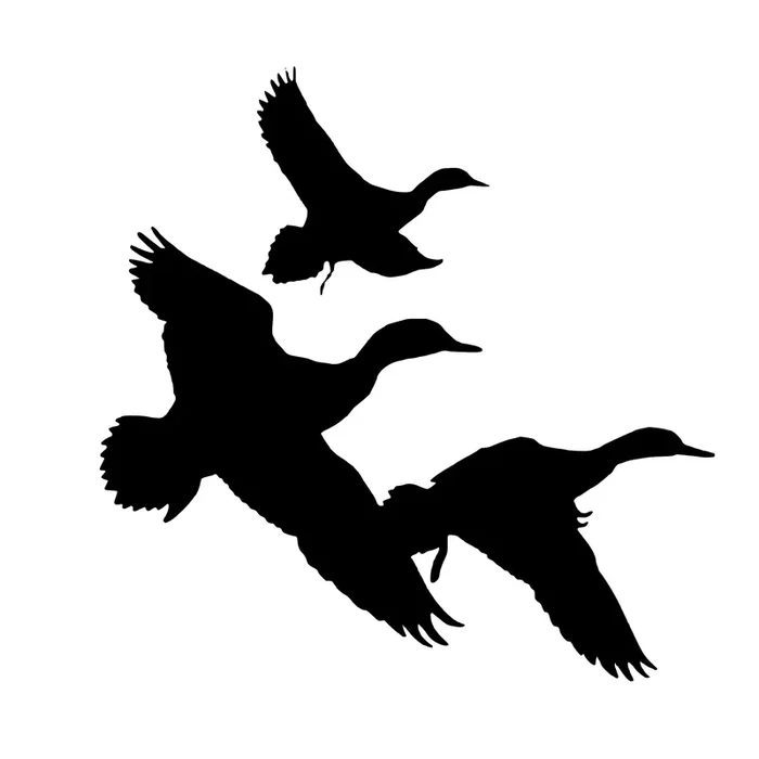 Goose Duck, Flying Sticker Decal