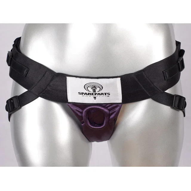 Joque- Harness Size A B 35-65in. (Purple)