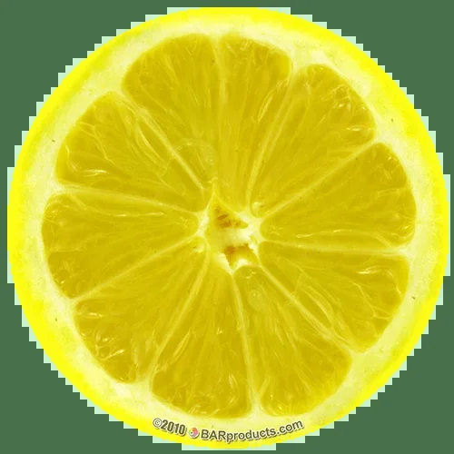 Kolorcoat™ Round Foam Coasters (4 Pack) – Lemon