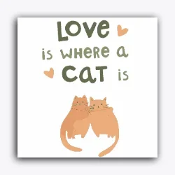 Love is where a cat is