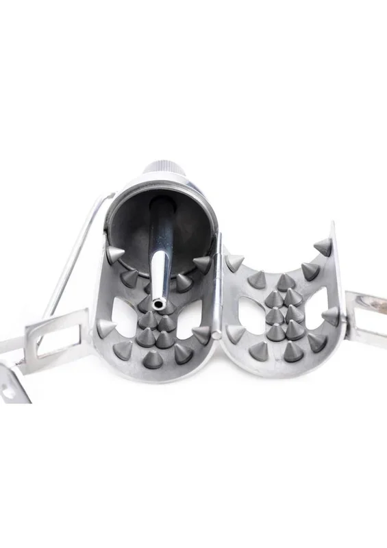 Master Series Spike Chamber Chastity Cage – Stainless