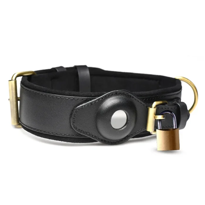 Master Series Tracer Tracking Device-Compatible Collar