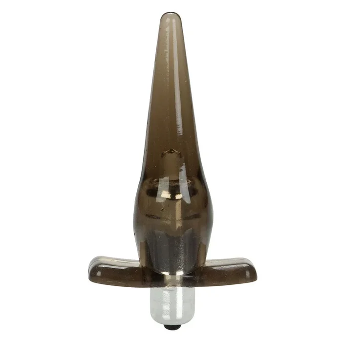 Mini Vibro Tease Anal Plug With Vibrating Bullet