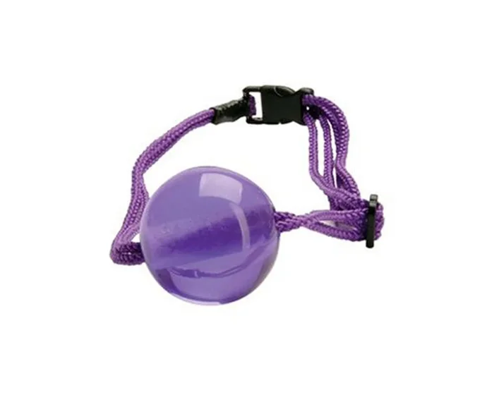 Mordaza de bola para boca Japanese Silk Love Rope