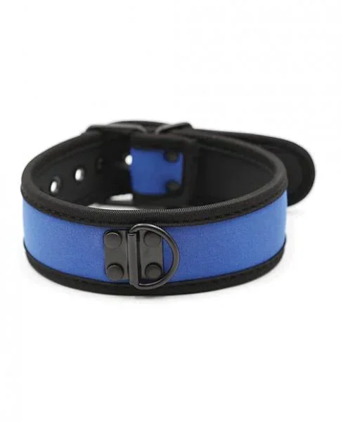 Plesur Neoprene Puppy Collar – Blue