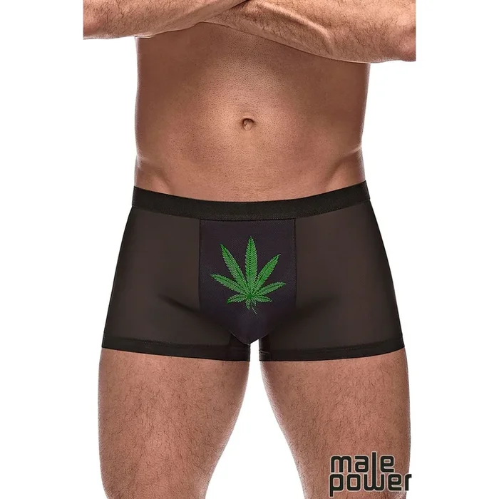 Private Screening Leaf Boxers by Male Power