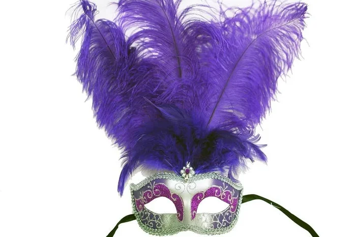 Purple Silver Venetian Feather Mask