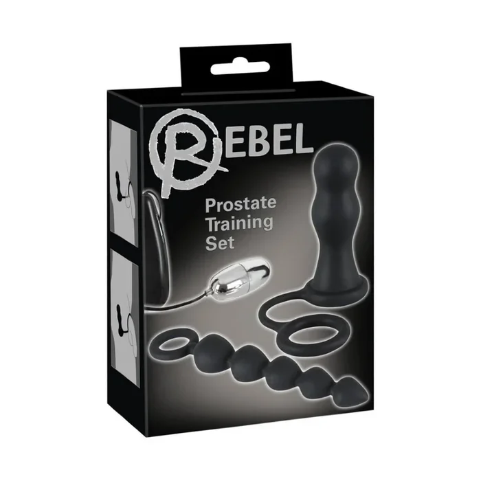Rebel Prostate Training Set