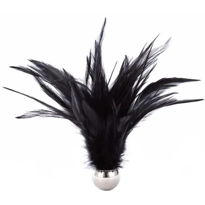 Roomfun Weighted Feather Tickler