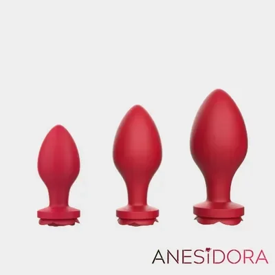 Rose Butt plug Anal Training Kit Ass Sex Toy – 3pcs
