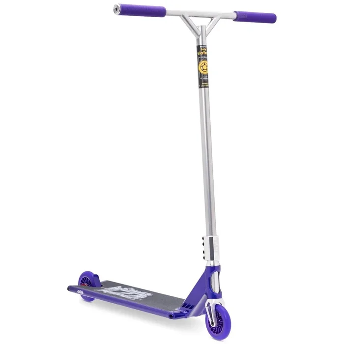 Silver and Purple Aztek Custom Build