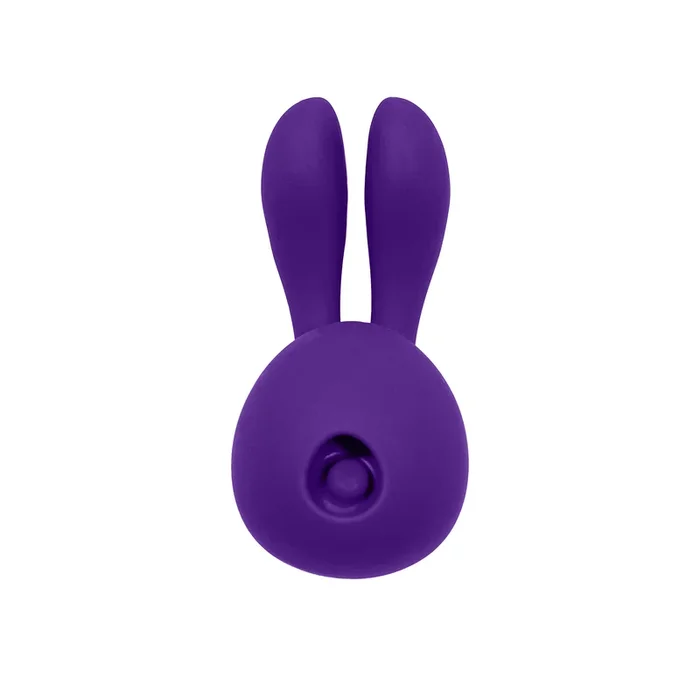 THE VIBENSE VOUS XCITE DUAL ACTION VIBRATOR – PURPLE