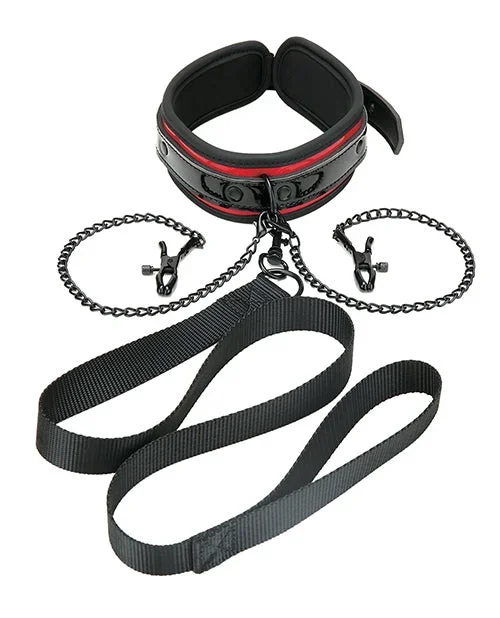 WhipSmart Heartbreaker Nipple Clamped Collar