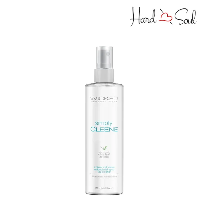 Wicked Simply Cleene Toy Cleaner Spray 4oz